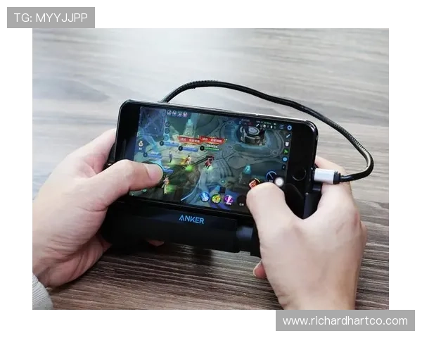 德赢官网真人游戏专业客服全天在线,保障玩家的每一次游戏体验