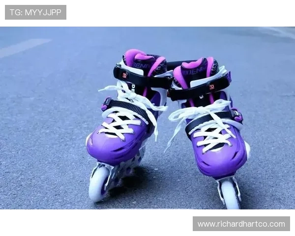 乐动体育官方首页多元化体育娱乐内容与互动社区功能全面解析