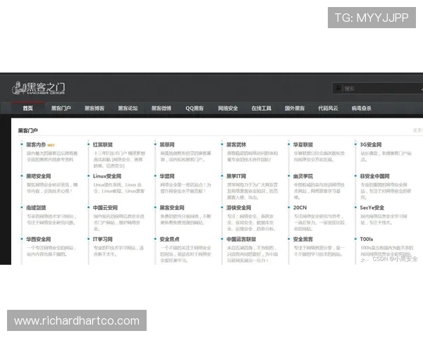 德赢平台网页版登录入口安全可靠的下载方式确保账号信息安全