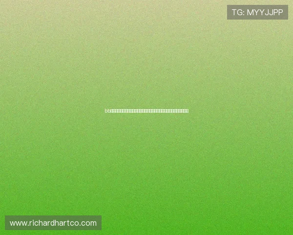 bb体育投注助力用户掌握世界杯最新比分动态与实时数据分析提升投注胜算